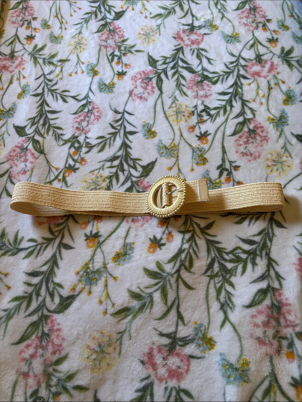 Amazon Beige Elastic Waist Belt with Decorative Round Buckle